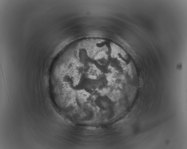 X0000094180347200711241558