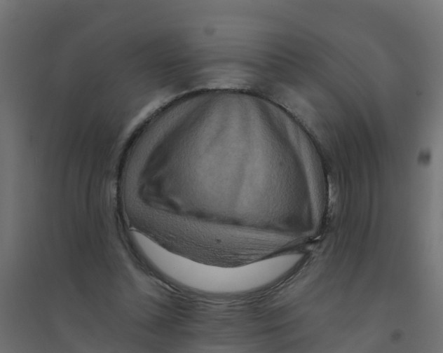 X0000094180348200711241558