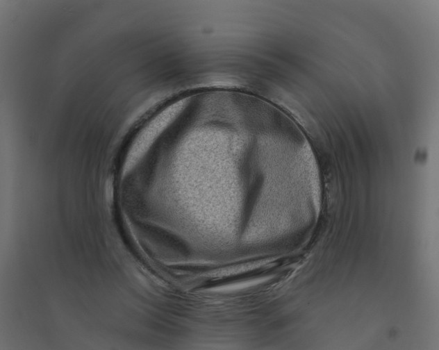 X0000094180350200711241558