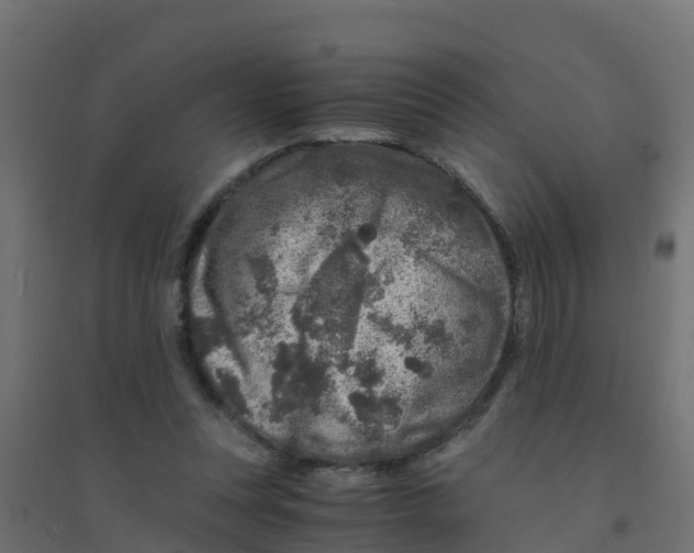 X0000094180351200711241558