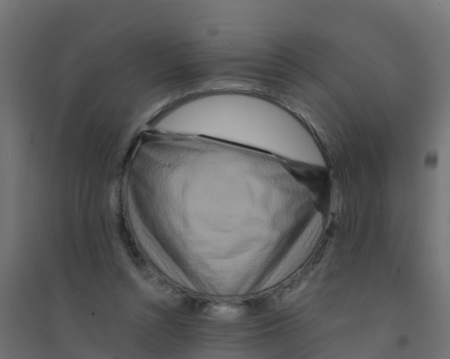 X0000094180352200711241558