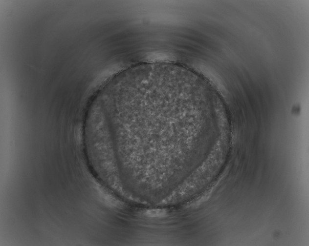 X0000094180353200711241558