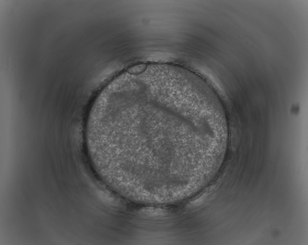 X0000094180354200711241558
