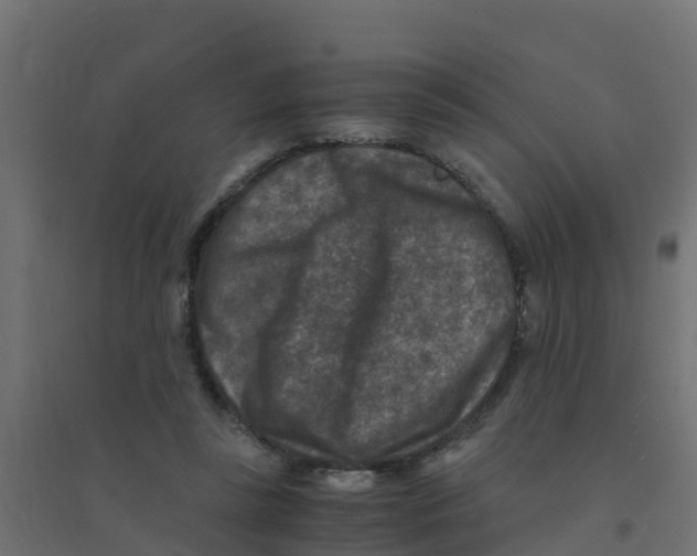 X0000094180355200711241558