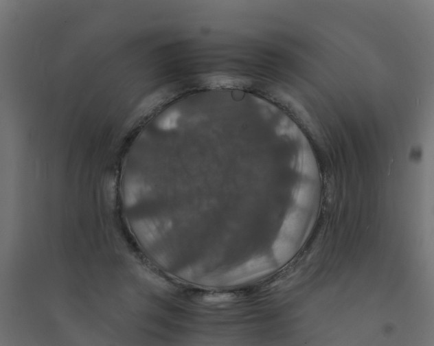 X0000094180357200711241558