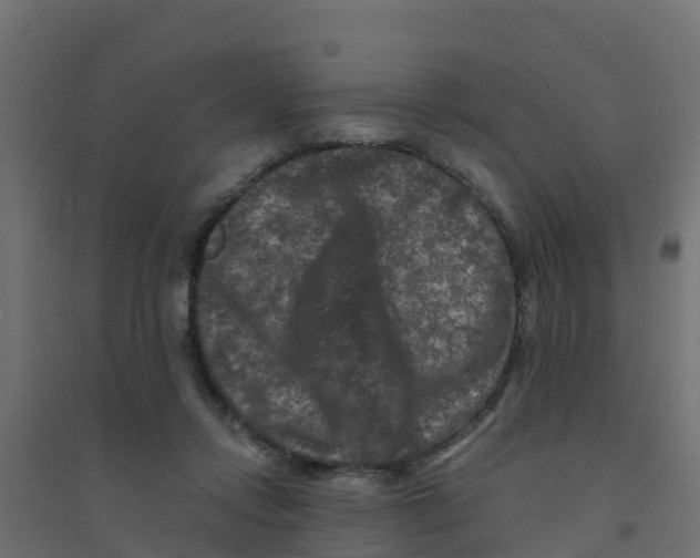 X0000094180358200711241558