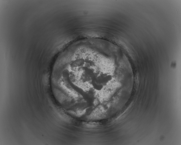 X0000094180359200711241558