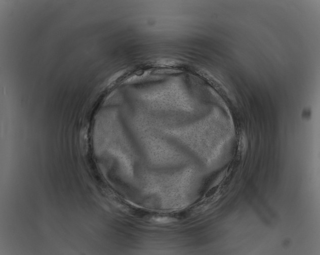 X0000094180360200711241558