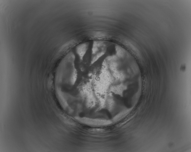 X0000094180361200711241558