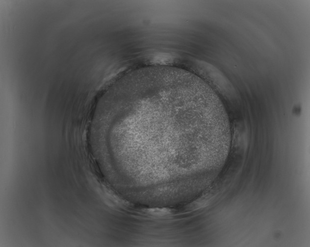 X0000094180363200711241558