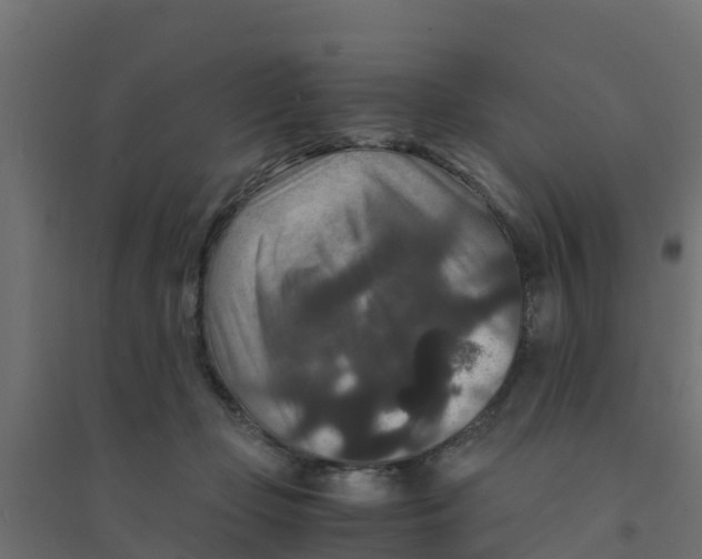 X0000094180365200711241558