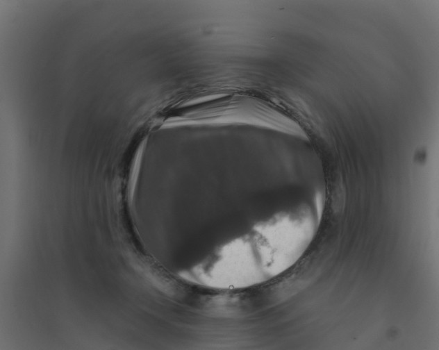 X0000094180366200711241558