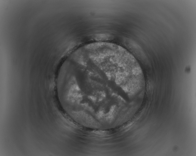 X0000094180367200711241558