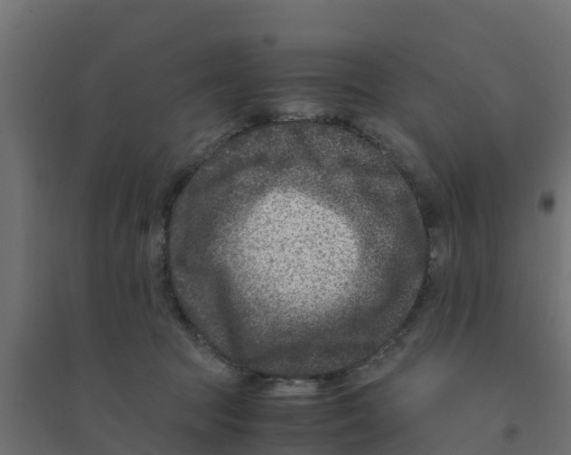 X0000094180369200711241558