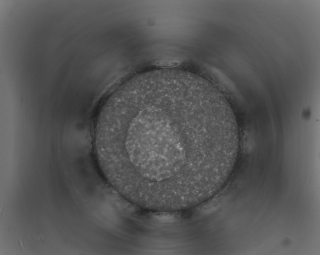 X0000094180370200711241558