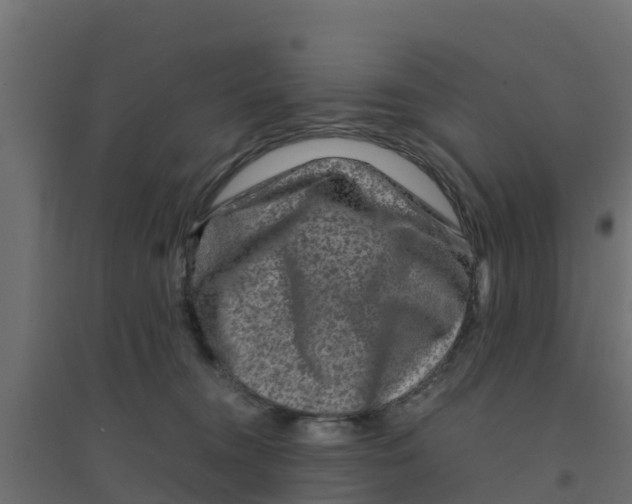 X0000094180372200711241558