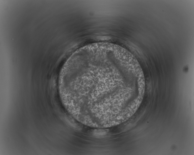 X0000094180373200711241558