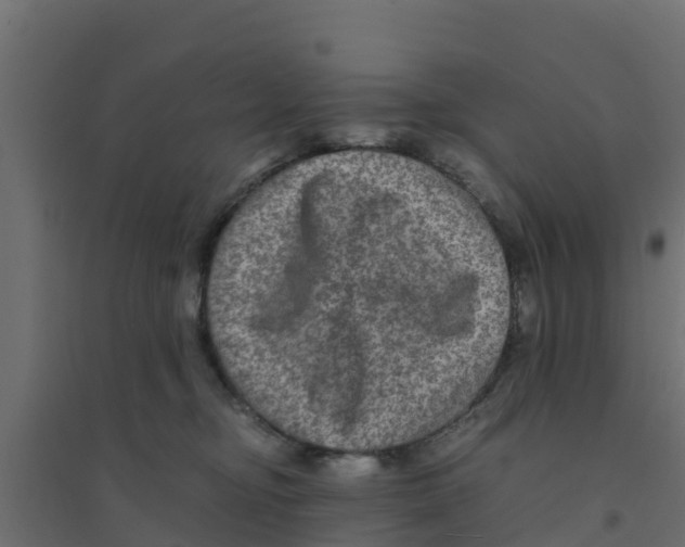 X0000094180374200711241558