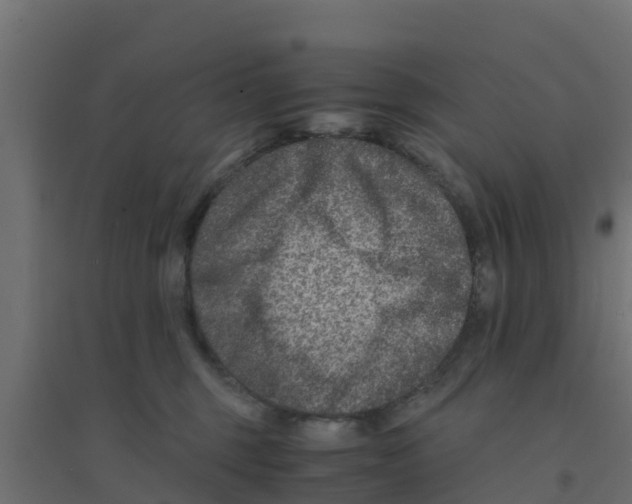 X0000094180375200711241558