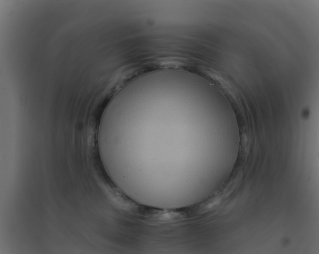 X0000094180379200711241559