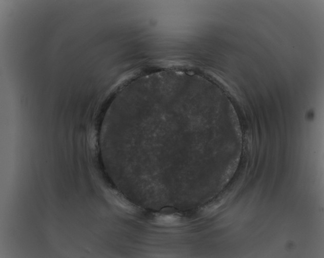 X0000094180380200711241559