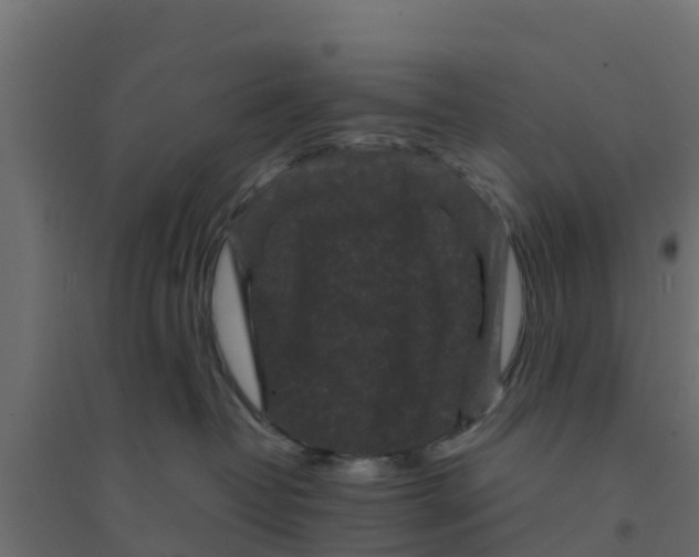 X0000094180382200711241559