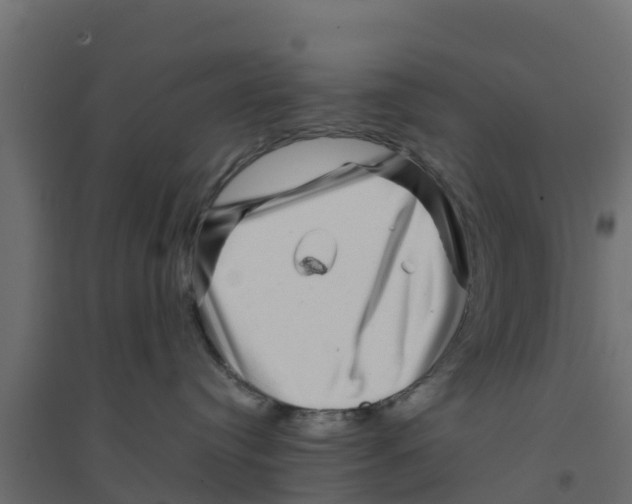 X0000094180384200711241559
