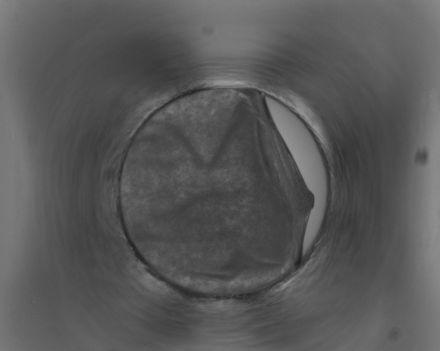 X0000094180385200711241558