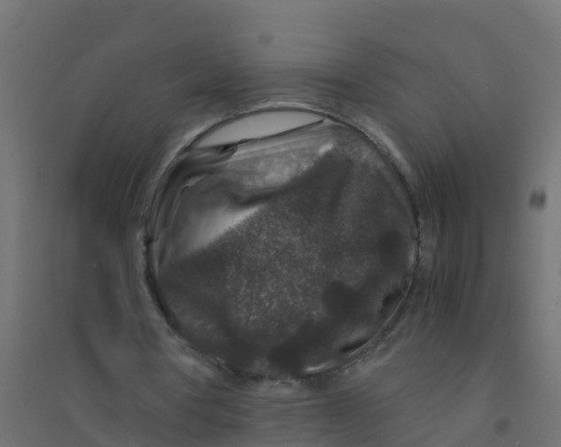 X0000094180386200711241558