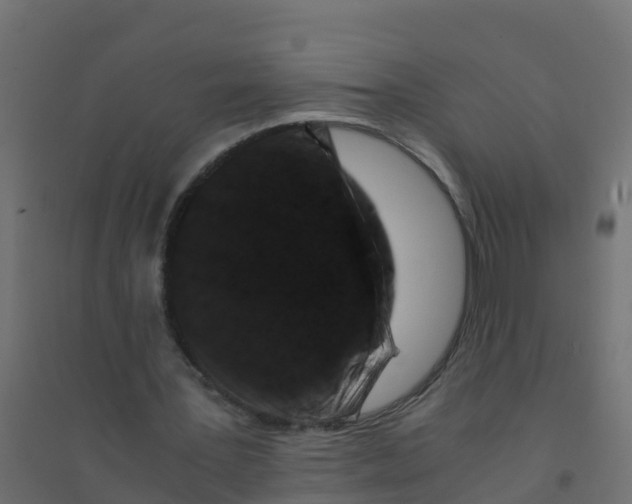 X0000094180387200711241558