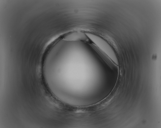 X0000094180388200711241558