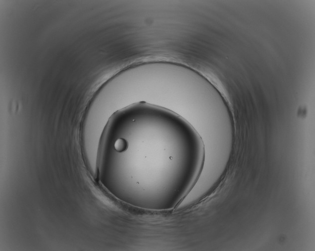 X0000094180389200711241558