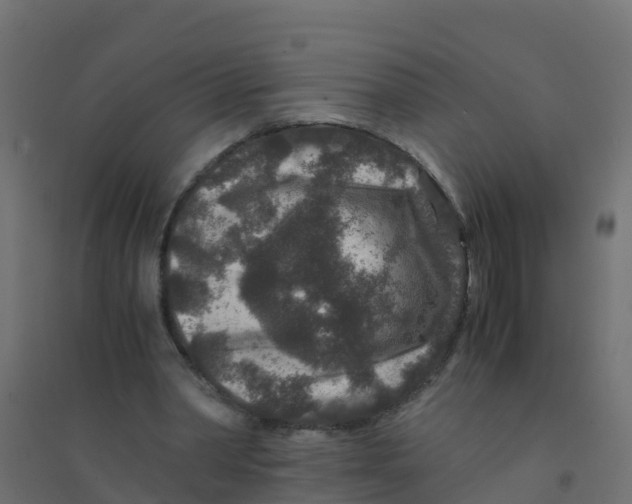 X0000094180390200711241558