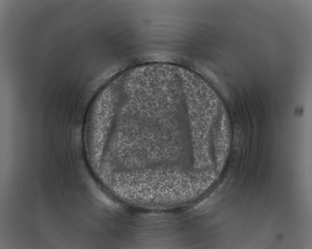 X0000094180394200711241558