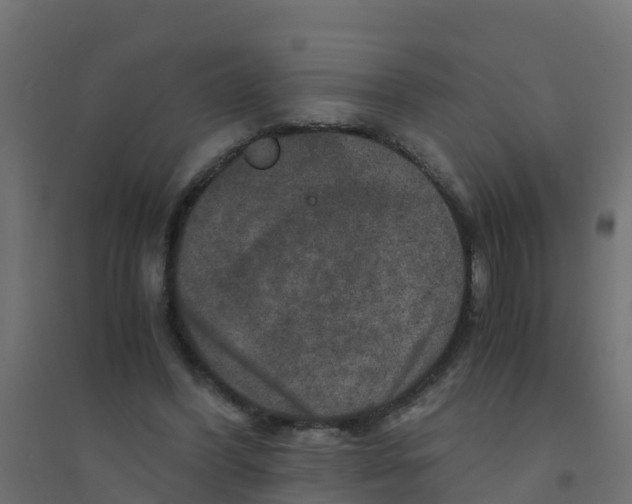 X0000094180396200711241558