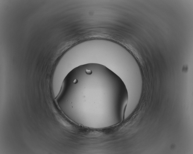X0000094180397200711241558