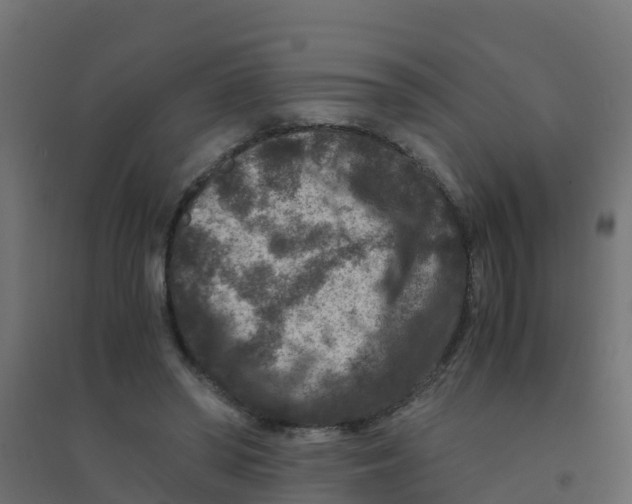 X0000094180398200711241558