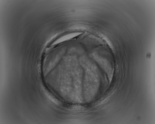 X0000094180399200711241558