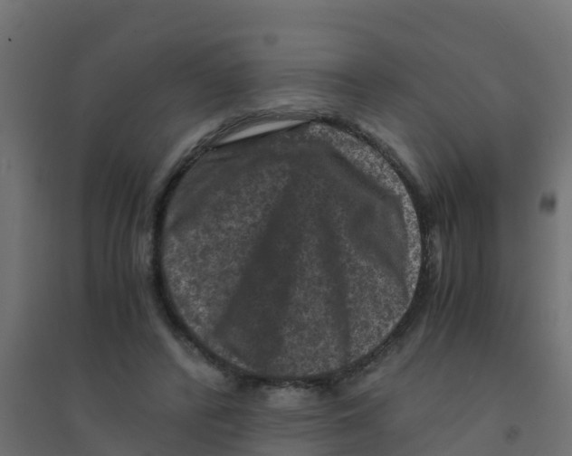 X0000094180400200711241558