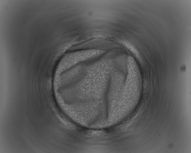 X0000094180401200711241558