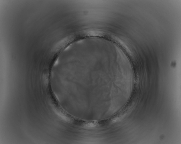 X0000094180402200711241558