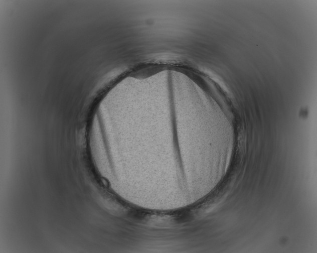 X0000094180403200711241557