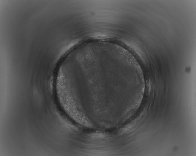 X0000094180404200711241557