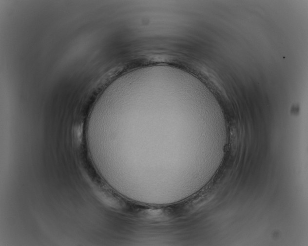 X0000094180406200711241557