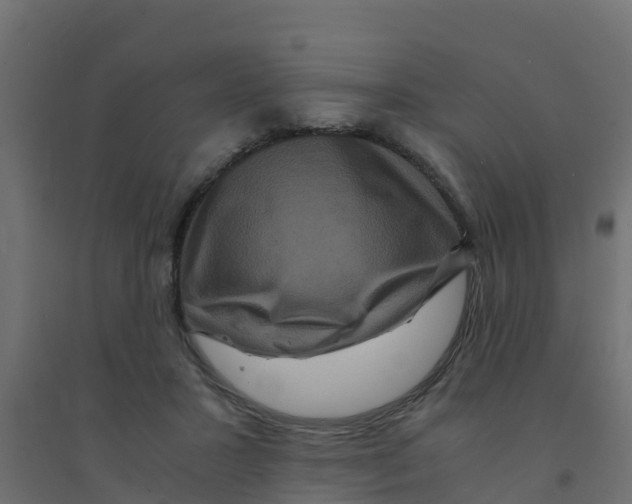 X0000094180407200711241557