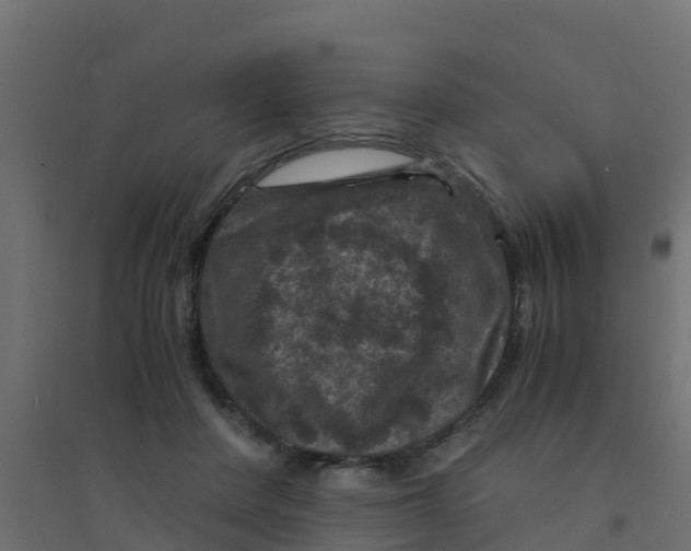 X0000094180408200711241557