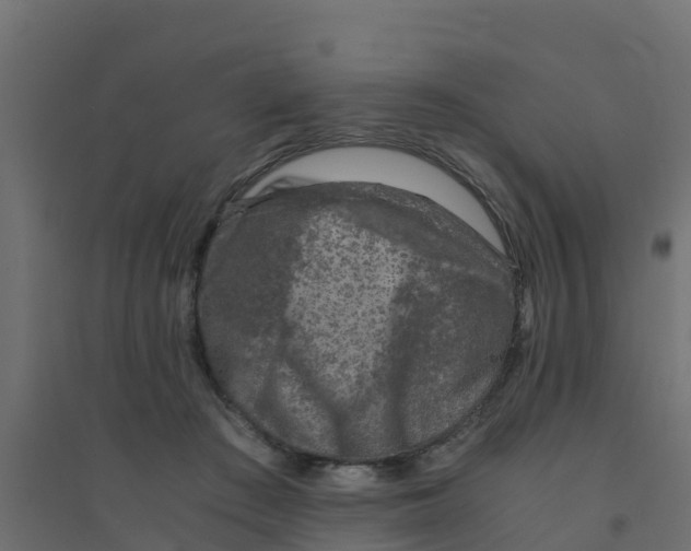 X0000094180409200711241557