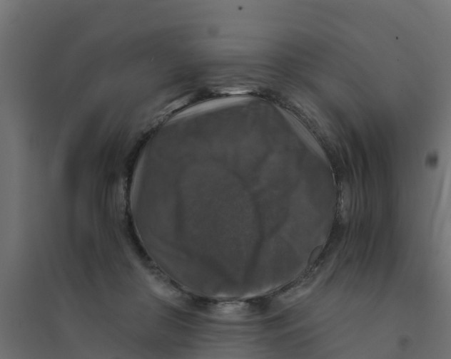 X0000094180410200711241557