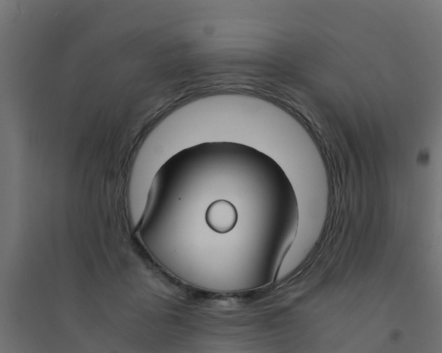 X0000094180411200711241557