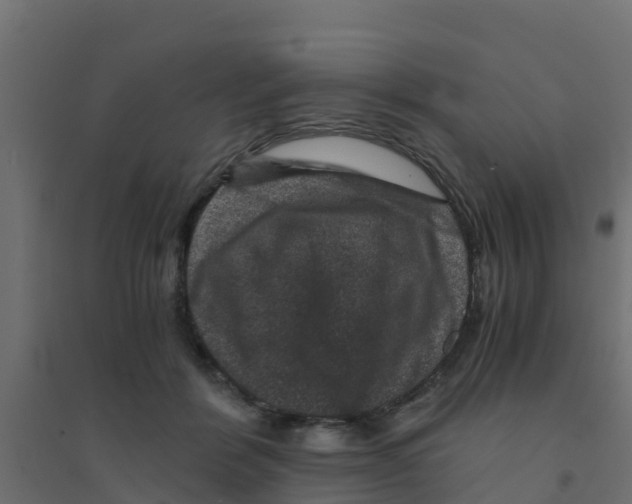 X0000094180412200711241557
